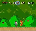 Yoshi tzet kp