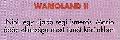 Wario Land 2 (1. hasb)
