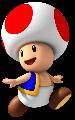 Toad