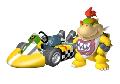 Mario Kart Wii